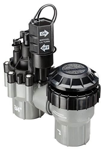 Rain Bird Professional Anti-Siphon Valve 3/4 Threaded Female x Female